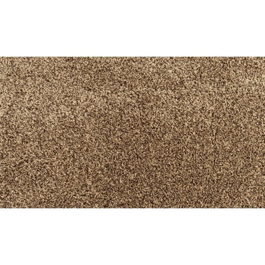 Assorted Elements II in Antique Brown Carpet