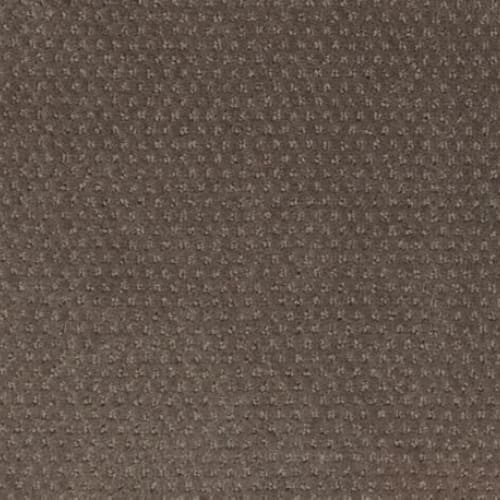 Dynamic Momentum in Charge Carpet