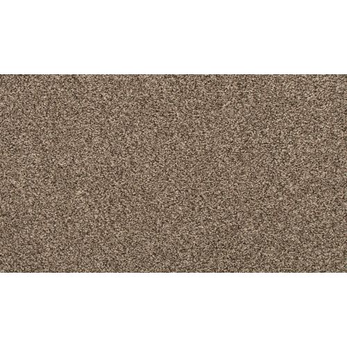 Encore in Drift Carpet