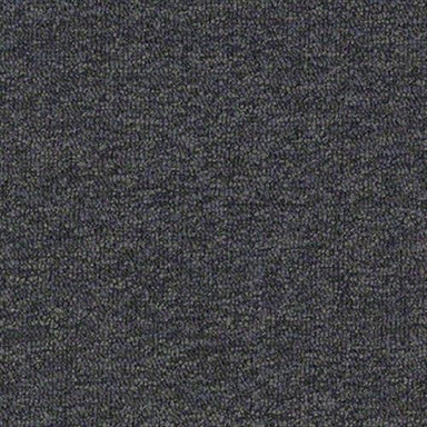 Freedman in Black Diamond Carpet