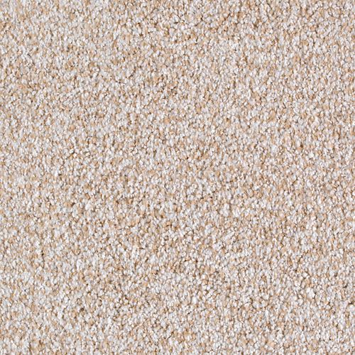 Enduring Harmony in Biscotti Carpet