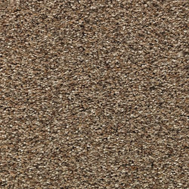 Dynamic Living in Ashen Tan Carpet