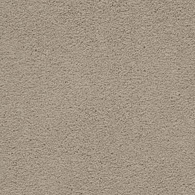 Chemistry in Afternoon Tea Carpet