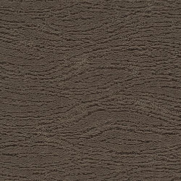 Universal Umber