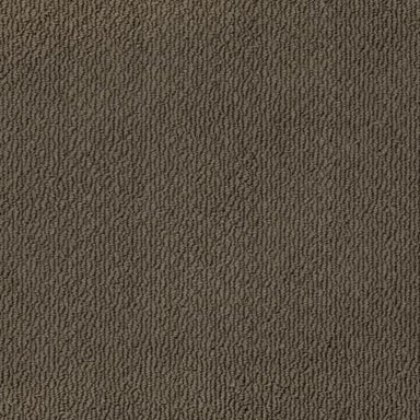 Captivating Beauty in Brownstone Carpet