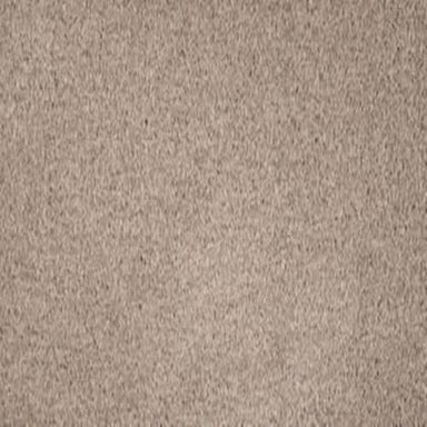 Debonair Invitation in Charisma Carpet