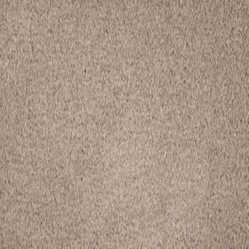 Debonair Invitation in Charisma Carpet