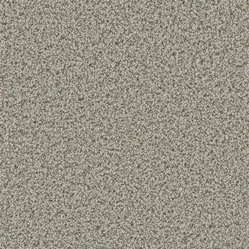 Stucco