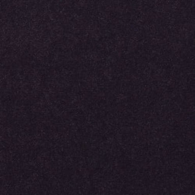 Emphatic 30 in Amethyst Carpet