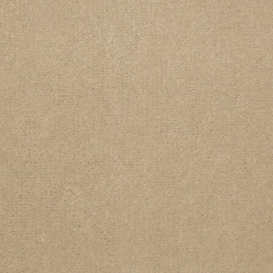 Copper Hill 30 in Bleached Pine Carpet