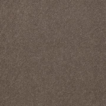 Toasted Taupe