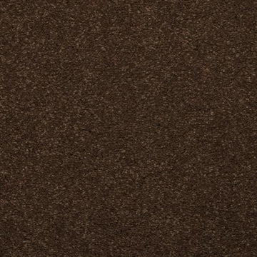 Marsh Brown