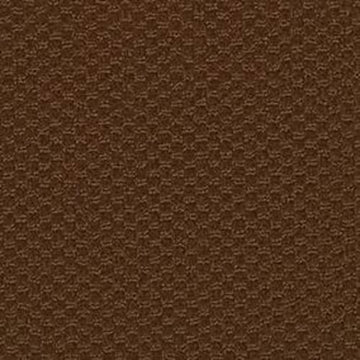 Brown Bear