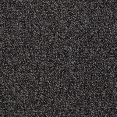 Franchise in Black Diamond Carpet