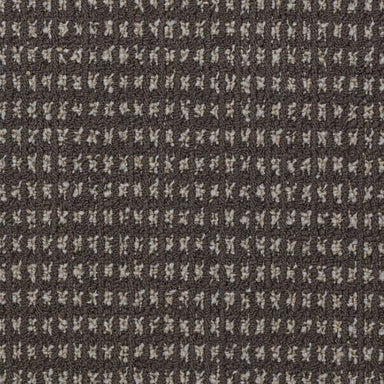 Today's Style in Bark Carpet