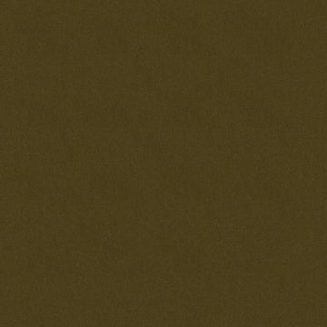 Venetian Green