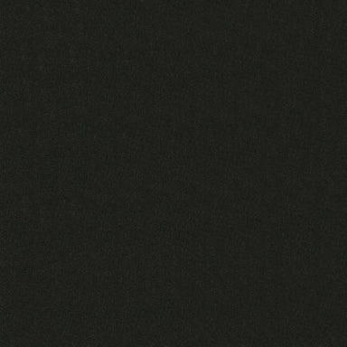 Emphatic II 30 in Coal Mine Carpet