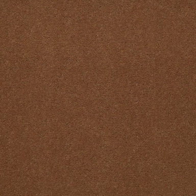 Emphatic II 36 in Canyon Rim Carpet