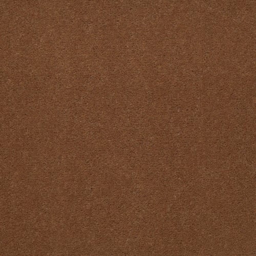 Emphatic II 36 in Canyon Rim Carpet