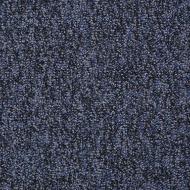 Sound Advice Bl in Advocate Carpet