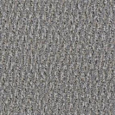 Speak Freely in Address Carpet