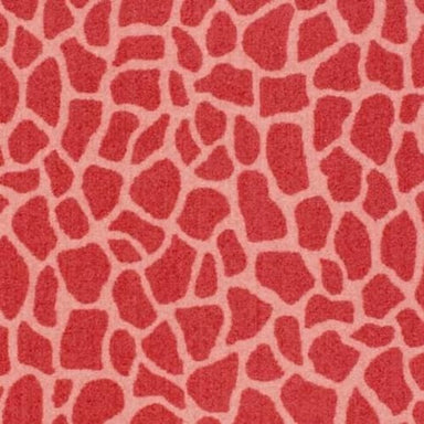 Giraffe in Girly Giraffe Carpet