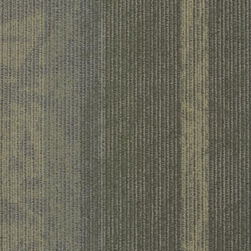 Signal