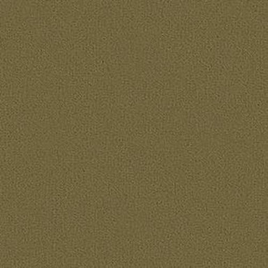 Color Accents Bl in Aloe Carpet