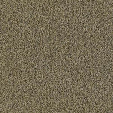 Multiplicity in Abundance Carpet