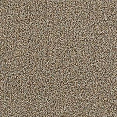 Arbor View (T) in Brown Sugar Carpet