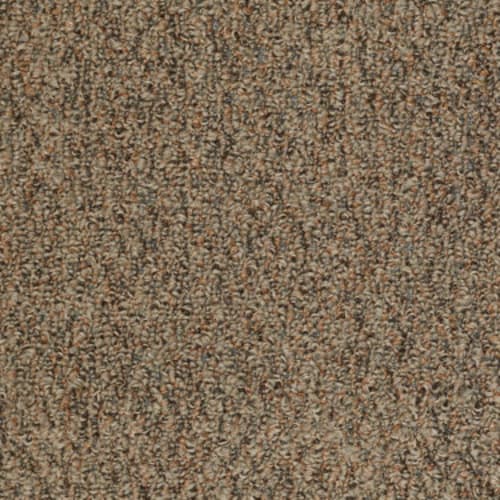 Gardenscape (T) in Rustic Copper Carpet