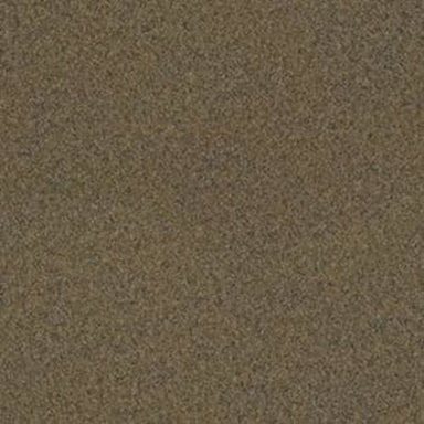 Backdrop II 6 in Peat Carpet