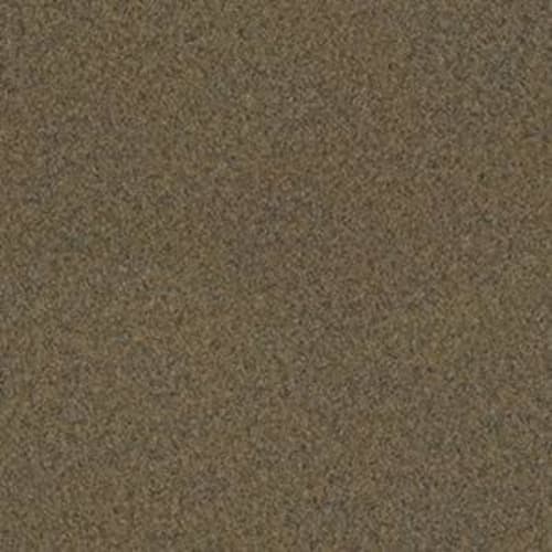 Backdrop II 6 in Peat Carpet
