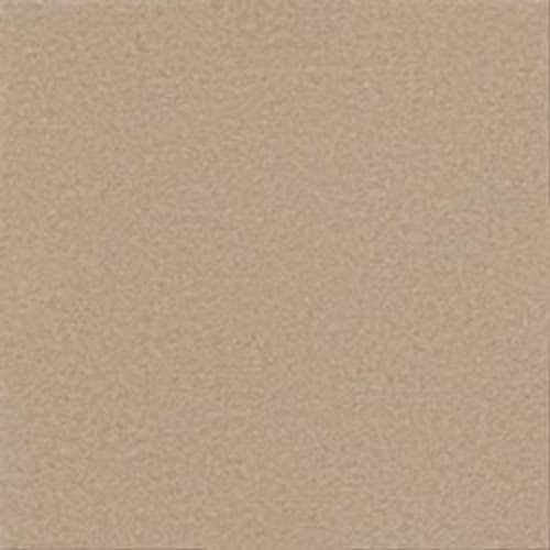 Softscape II 12 in Natural Finish Carpet