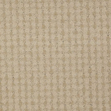 Live in Faith Carpet