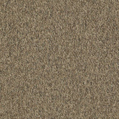 Franchise II 28 In Carpet Flooring