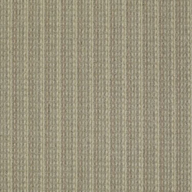 Revamp in Amend Carpet