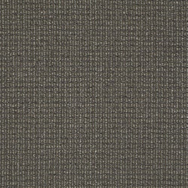 On The Move in On The Nose Carpet