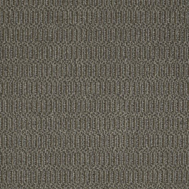 On Site in On The Nose Carpet