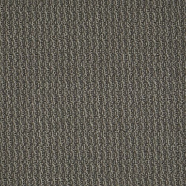 On Target in On The Nose Carpet