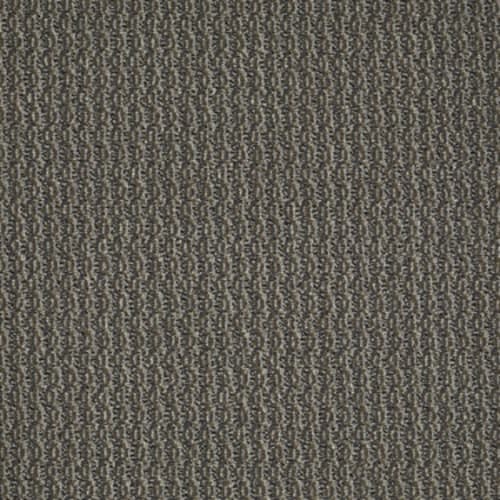 On Target in On The Nose Carpet