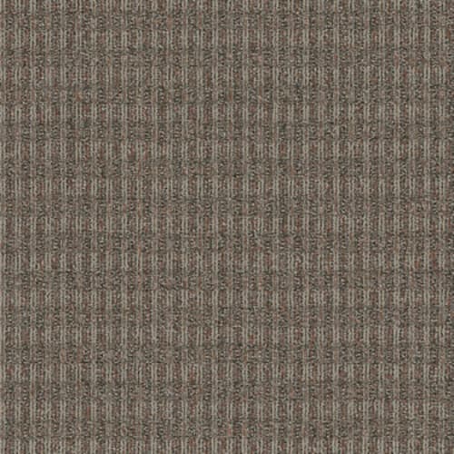 FAIR SHAKE in Agreement Carpet