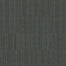 INTELLECT in Sharp Carpet