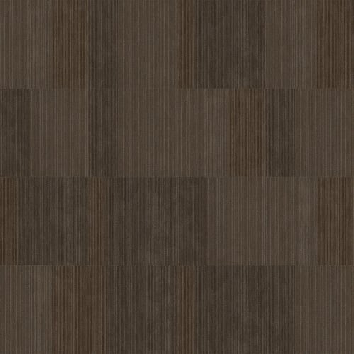 DISCLOSE in Newsfeed Carpet