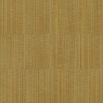 Vector
