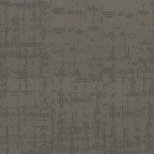 CURIOUS WONDER in Inquisitive Carpet