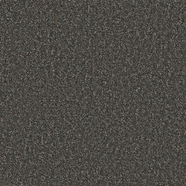 AVENUE in Adams Carpet
