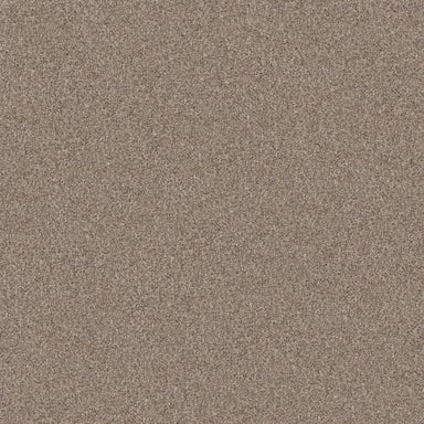 YES YOU CAN II 12' in Subtle Clay Carpet