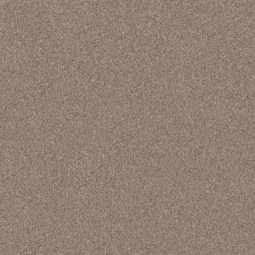 YES YOU CAN II 12' in Subtle Clay Carpet