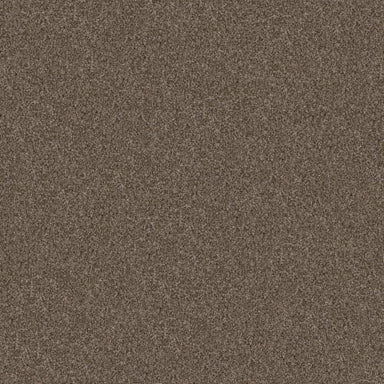 YES YOU CAN I 15' in Mission Ridge Carpet